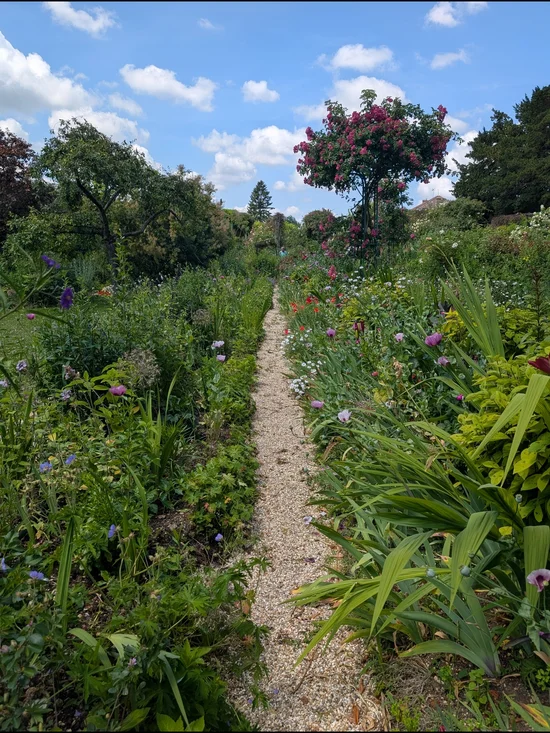 🌷 - Picture 1 of 1